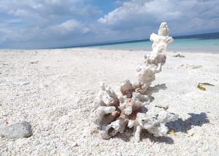 セブ幻の島(バゴンバヌア島)