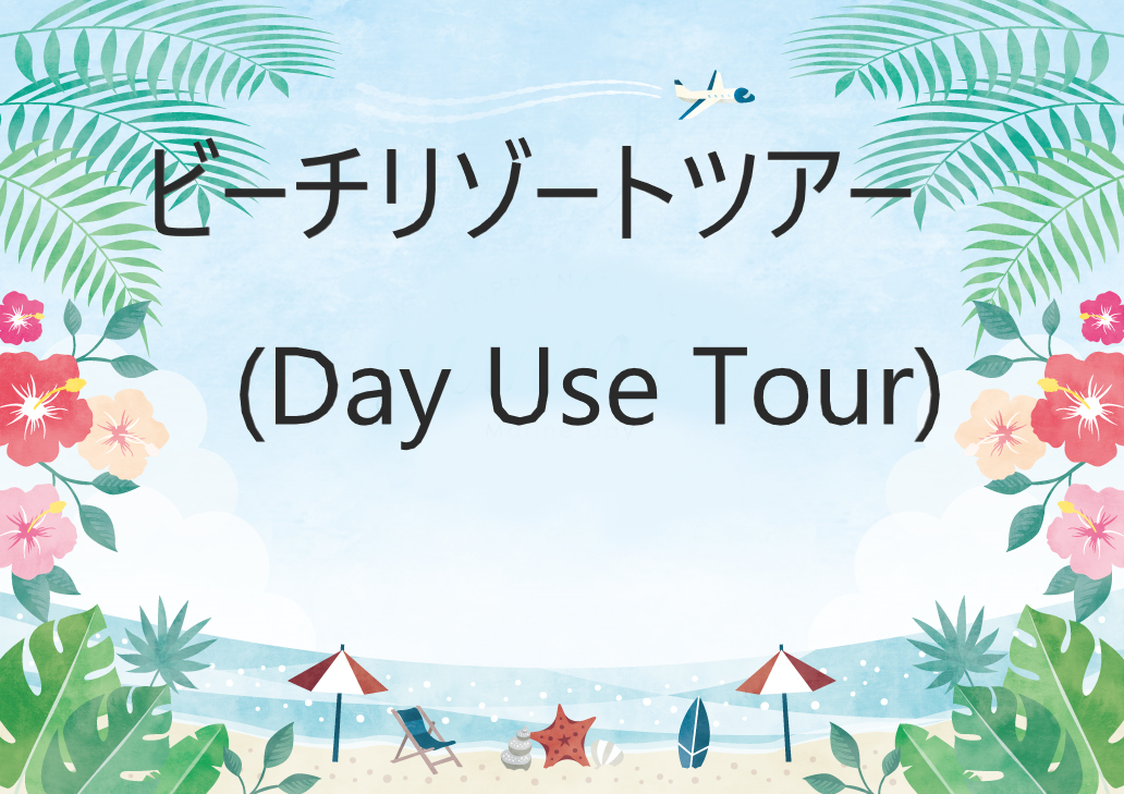 ビーチリゾートツアー